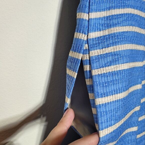 Taylor (Anthropology) Textured Pleated Striped Blue & White Fit & Flare Dress - Picture 7 of 8